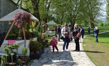 VIDEO: Jarná krása v Budatínskom parku