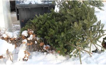Zvoz vianočných stromčekov začne v Žiline 13. januára, odovzdať ho môžete aj v zberni odpadov