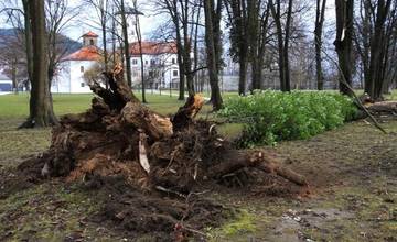 AKTUÁLNE: V areáli Budatínskeho parku vyvrátilo strom, Považské múzeum vydalo upozornenie