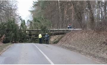 Aj počas dnešného dňa sa očakáva silný vietor, mesto Žilina varuje návštevníkov lesoparku Chrasť