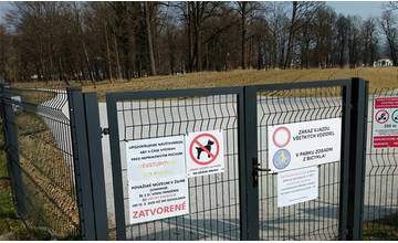 V zatvorenom Budatínskom parku nasadili cesnak, poslúži na vybudovanie kolektívnej imunity