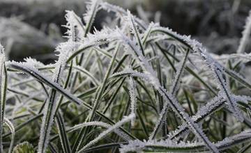 Dnes v noci sa na území Žilinského kraja očakáva výskyt mrazov, teplota môže klesnúť až na -6 °C