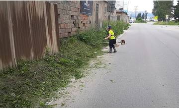 Vysokú trávu popri ceste na Kamennej v Žiline vykosil deväťročný chlapec