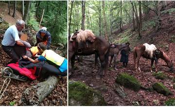 Horskí záchranári pomáhali jazdcom na koňoch v Malej Fatre, aj zranenému mužovi na Slnečných skalách