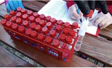 V stredu pribudlo na Slovensku najviac nových prípadov s potvrdeným ochorením COVID-19 od apríla