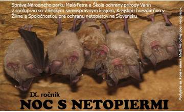 Noc s netopiermi - pútavé informácie o ich živote a poverách spojené s pozorovaním nočnej oblohy