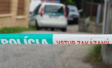 V rodinnom dome na Kysuciach malo 12-ročné dievča deväťkrát bodnúť nožom svoju matku