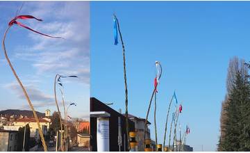 Osadil 50 korbáčov v Žiline: „Vŕbam sa venujem rok, odozva ma prekvapila a cítim výzvu na ďalší rok“