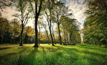 Parky Andreja Barčíka, Františka Hanovca či Jozefa Červinku. V Žiline plánujú meniť názvy parkov aj námestí