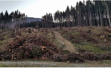 Škody po júlovej vetrovej kalamite na Liptove ďalej stúpajú, aktuálne ide o 130 tisíc kubíkov dreva