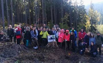 Študenti zo Strednej zdravotníckej školy v Liptovskom Mikuláši zasadili za jeden deň 600 nových stromov