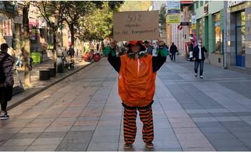Halloweensku tekvicu môžete skompostovať: Žilinské OZ Kompostujme to ukáže v týždňovom živom prenose