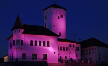 V rámci Svetového dňa predčasne narodených detí zasvieti dnes nafialovo aj Budatínsky hrad