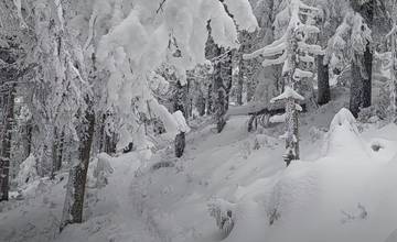 VIDEO: Zábery zimnej prírody na vrchu Minčol v Lúčanskej Malej Fatre