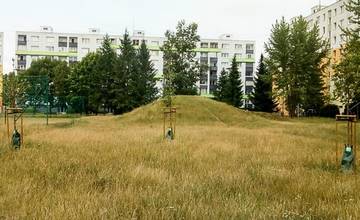 Primátor Žiliny nepodpísal uznesenie o výsadbe 800 kusov stromov počas budúceho roka 