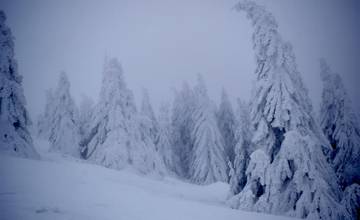 Tento rok sa koná pri Žiline šesť Silvestrovských výstupov na hory