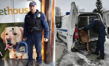 Kynológ žilinskej mestskej polície Ján Murárik: Láska k zvieratám mi bola predurčená
