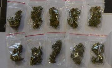 Polícia v Liptovskom Mikuláši našla pri domovej prehliadke minimálne 53 bežných dávok marihuany