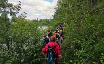 Vo štvrtok 21. apríla sa uskutoční prírodovedecká prechádzka pri Straníku s botaničkou Považského múzea