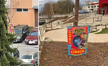 Mesto Žilina na cirkusové pútače povolenie nevydalo. Prípad rieši mestská polícia, organizátor ich musí odstrániť