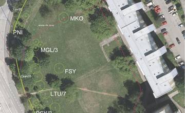 Namiesto parkovacieho domu pribudne zeleň: Na Obchodnej ulici v Žiline vysadia 22 stromov a 165 drevín