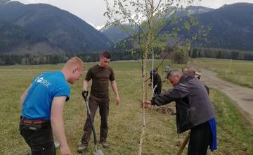 Študenti strednej lesníckej školy z Liptovského Hrádku vysadili na Liptove až 500 nových stromov