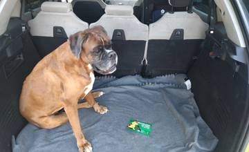 Polícia upozorňuje, že vysoké teploty môžu mať pre deti a zvieratá zabudnuté v aute fatálne následky