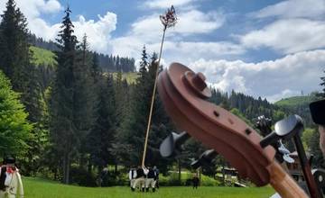 V Múzeu kysuckej dediny vo Vychylovke budú 29. mája za sprievodu hudby, tanca a zábavy váľať máj