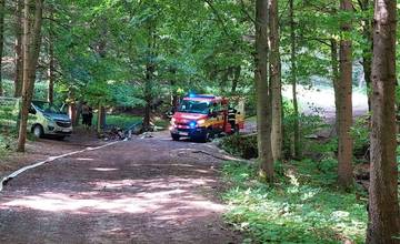 Do obce Stráňavy vyrážalo v ranných hodinách množstvo hasičov, v miestnom lese zasahovali pri cvičnom požiari