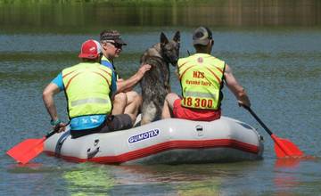 FOTO: Záchranári začali s výcvikom mladých psov, ktorí im budú pomáhať s hľadaním nezvestných osôb