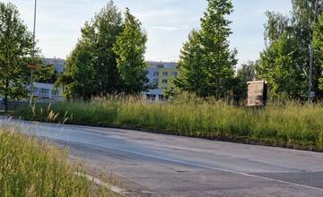 Motoristi sa v lete sťažovali na neprehľadné križovatky v Žiline. Mesto tvrdí, že zeleň pravidelne udržiava