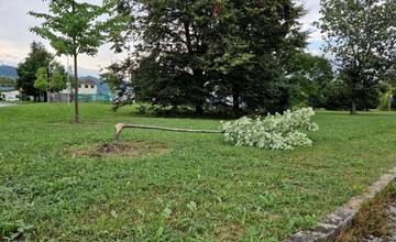 Na sídlisku Vlčince niekto poškodil novovysadený strom, ide o piaty prípad poškodzovania novej zelene za tento rok