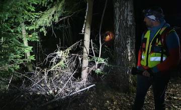 Nočné pátranie v okolí Olešnej dopadlo úspešne, takmer 90-ročnú ženu našli krátko po polnoci