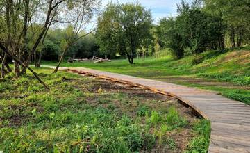 Na prácach v parku v Trnovom mohlo mesto ušetriť 13-tisíc eur, lacnejšiu ponuku však zo súťaže vylúčili