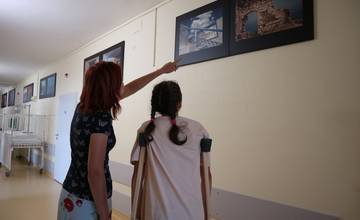 Priestory žilinskej nemocnice oživila výstava obrazov a fotografií troch významných umelcov