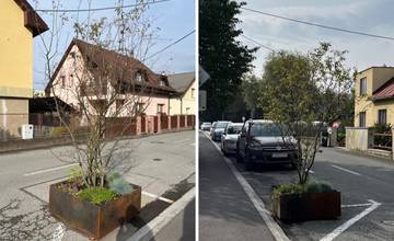 Mesto Žilina poskytlo súkromnej firme dotáciu 1000 eur na nákup dvoch kvetináčov s drevinou