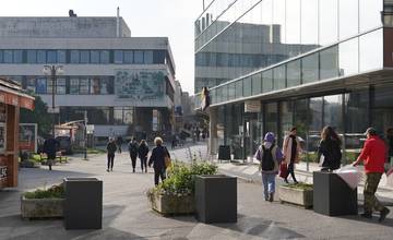 V Žiline sa začalo s inštaláciou novej mobilnej zelene, v 118 kvetináčoch vysadia trvalky aj menšie dreviny