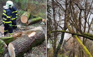Dobrovoľní hasiči v Trnovom orezali v parku na Rosinkách nebezpečne naklonené stromy