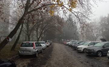 Na Vlčincoch dnes prebehne orezávanie stromov, niektoré vozidlá pod nimi stále parkujú