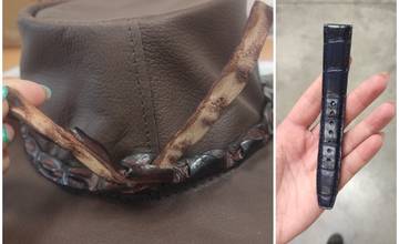 Na Slovensko dorazili výrobky z aligátorov. Balíky bez povolení zastavili žilinskí príslušníci finančnej správy