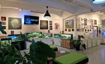 V Žiline otvorili unikátnu výstavu obrazov s akvaristickou tematikou, vystavené diela si môžete aj kúpiť