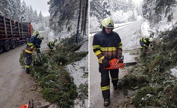 FOTO: Spadnutý strom zablokoval hlavný ťah pri obci Turček, hasiči ho odstránili do hodiny