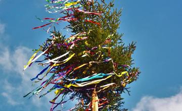 Na žilinskom námestí už čoskoro v sprievode Cipovičky vztýčia vyzdobený máj