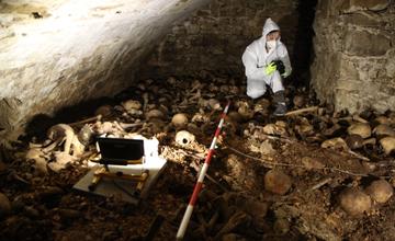 Príbeh kostrových pozostatkov objavených v krypte pod žilinskou katedrálou priblíži prednáška v múzeu