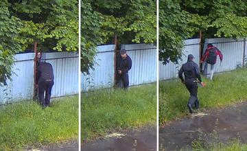 VIDEO: Dvojica zlodejov trhala plechy zo žilinskej Korytnačky, poslanec Čepec prosí o ich stotožnenie