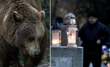 Ružomberčania sa od dnes nemajú večer približovať k cintorínu, začína odchyt medveďov