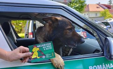 Horúčavy sa blížia, nezabudnite svoje deti ani domáce zvieratá v aute!