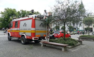 VIDEO: Na Mariánskom námestí sa vyrojili včely, zasahovali hasiči a profesionálny včelár