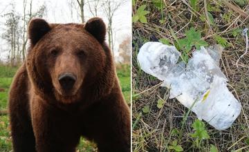 FOTO: Medvede roztrhali plot a pustili sa do sviečok na ďalšom cintoríne v Ružomberku