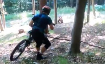 VIDEO: Cyklisti natrafili v lese v okolí Martina na medvediu rodinku. Tá sa za nimi rozbehla